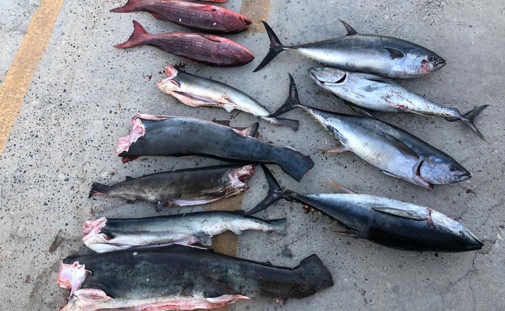 La embarcación se encontraba dentro del
polígono del Área Natural Protegida correspondiente a la Reserva de la Biosfera Islas Marías, Nayarit. Foto: especial