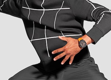 Perfección de la especie