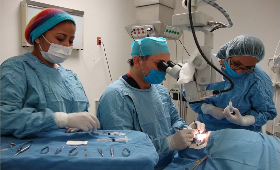 Insuficiencia renal, enfermedad de riesgo y costos