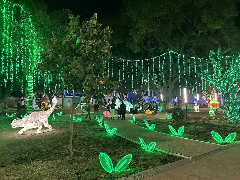 Foto: Omar Moreno. El Universal