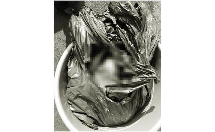 Hallan cabeza de mujer en bote de basura en Iztapalapa