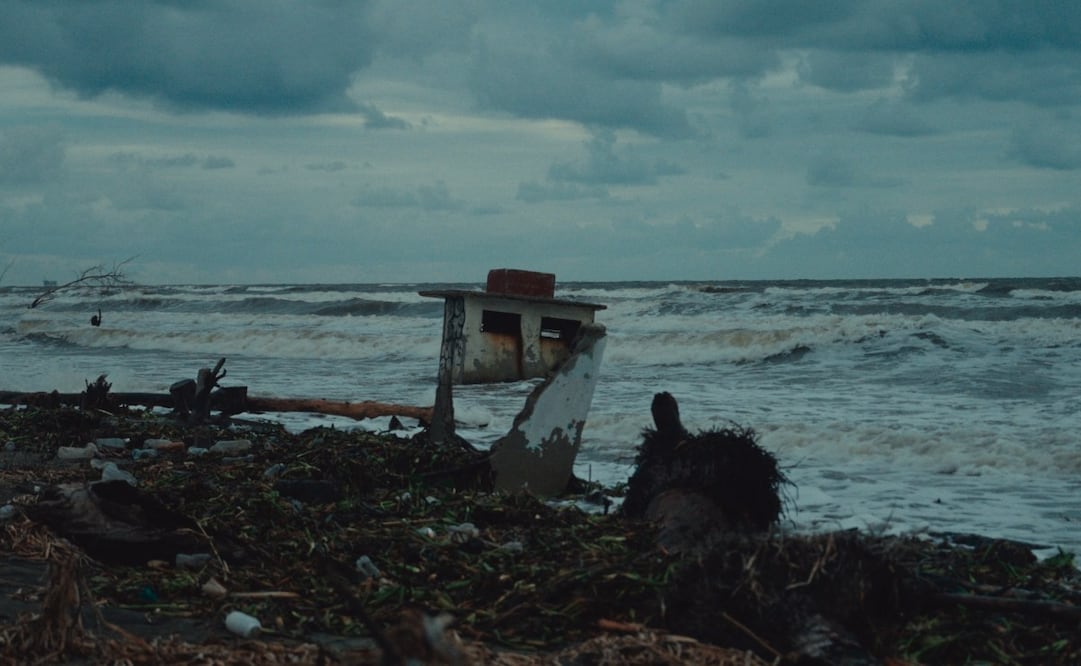 El audiovisual, sobre El Bosque en Tabasco, está nominado como Cortometraje documental. Foto: JEAN CHAPIRO