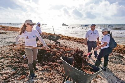 Retiran toneladas de sargazo, tras paso de la tormenta Alberto
