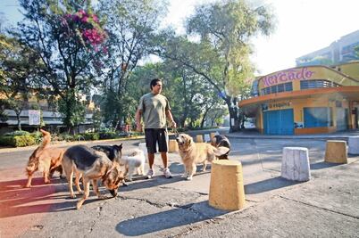 Procesan a 60 personas por robo de mascotas en un año