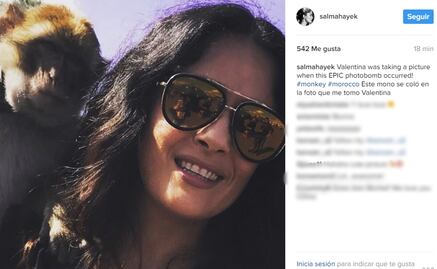 Un mono se cuela en foto de Salma Hayek