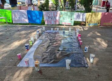 Exigen justicia para la perrita Manchas en Zacatecas; un hombre le tiró un ladrillo en la cabeza