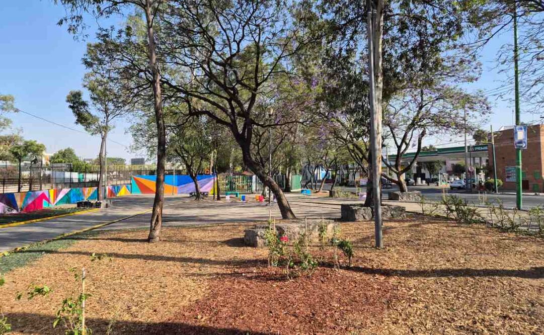 Lugar donde fue hallado cuerpo de migrante ya se encuentra sin restricciones (1504/2025). Foto: Especial