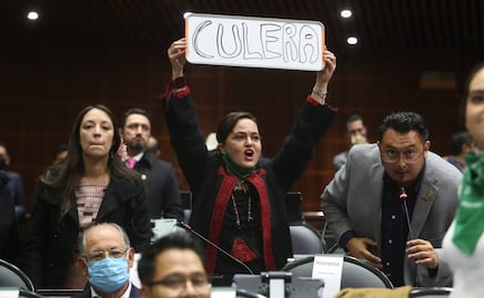 "Borrega" y "C...lera": Diputadas del PRD y Morena intercambian insultos en sesión