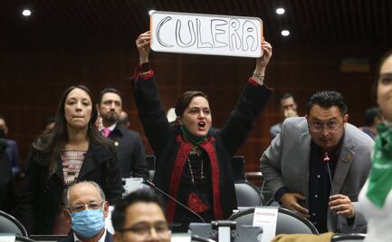 "Borrega" y "C...lera": Diputadas del PRD y Morena intercambian insultos en sesión