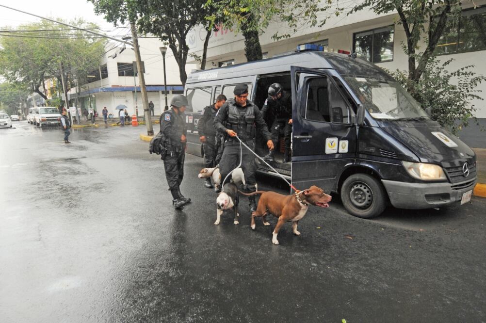 La Secretaría de Seguridad Pública reveló que del 1 de enero al 27 de agosto de 2017, mil 476 jóvenes fueron detenidos cometer algún delito de bajo impacto (ARCHIVO. EL UNIVERSAL)