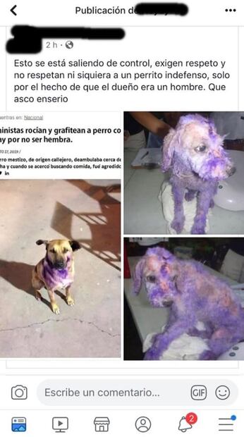 Falso, que feministas hayan grafiteado a perro en marcha