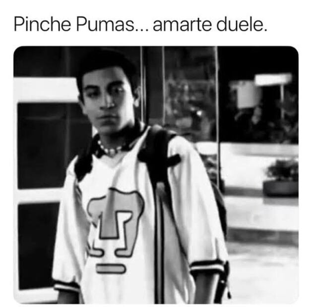 Pumas MEMES