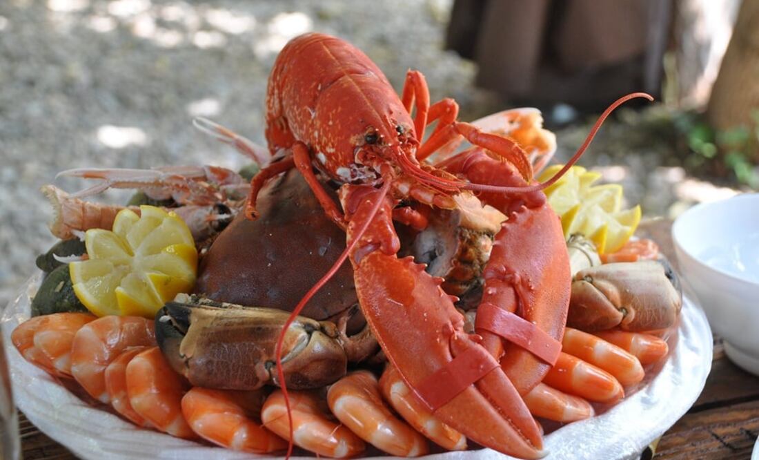 Los mariscos nos aportan muchos nutrientes, pero en temporada de calor suelen ser riesgosos si no se toman precauciones / Fotos: Pixabay