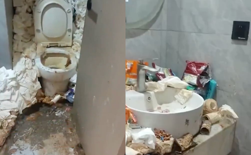 Gamer vive dos años en un hotel y deja su habitación convertida en un basurero. Foto: captura de video