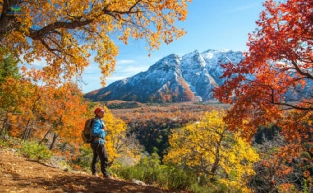 Ruta del Ovni y otros lugares en Chile para buscar lo desconocido