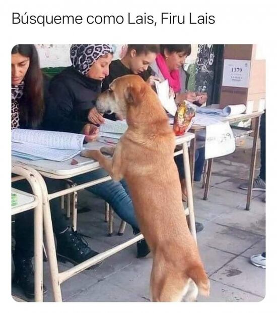 Y después de la ley seca, llegan los memes de las elecciones 2021