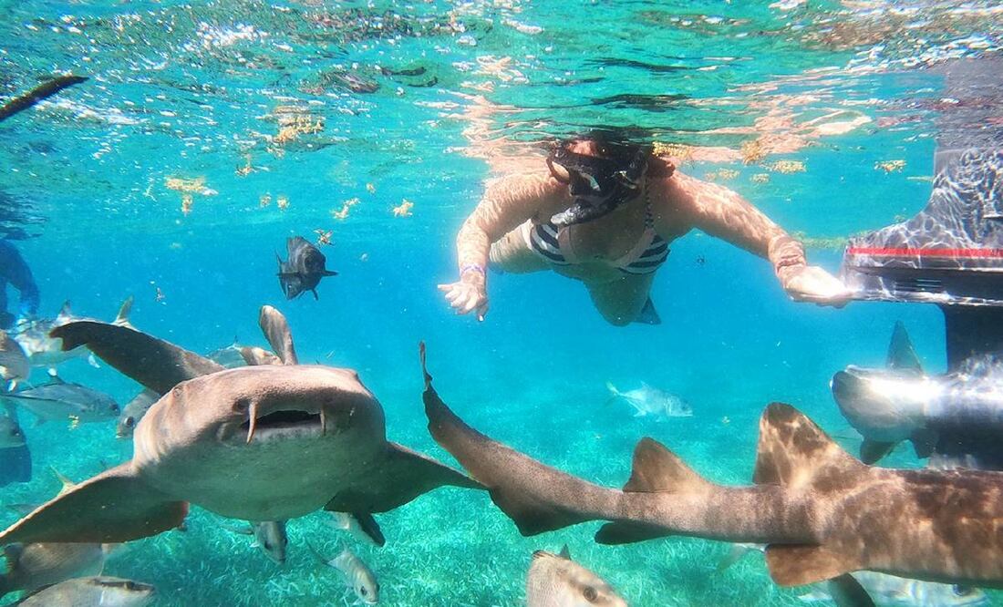 Foto: Nauti Time Tours