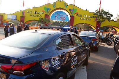 Tlalpan rechaza consulta para derribar árboles