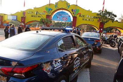 Tlalpan rechaza consulta para derribar árboles