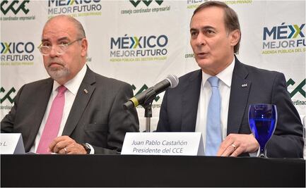 CCE pide a AMLO no decidir en función de una sola visión