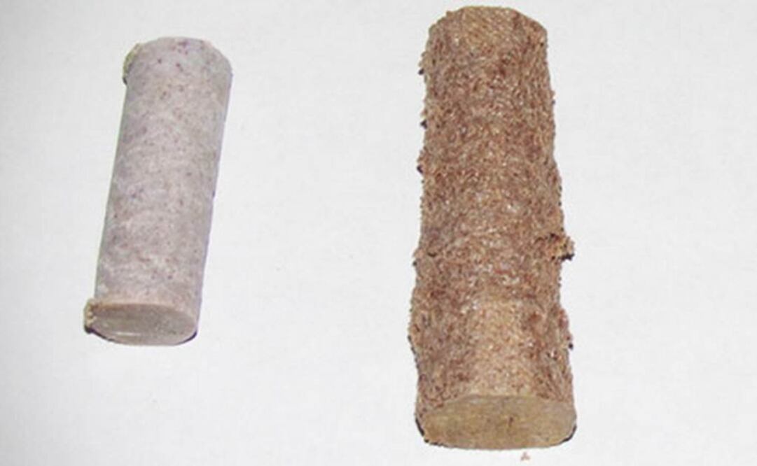 Se tiene que moler y fundir el PET, mezclarlo con aserrín y aditivos. Foto: Conacyt