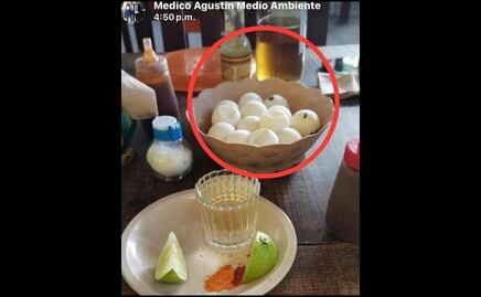 Despiden a funcionario de la Secretaría de Medio Ambiente de Oaxaca; presumió el consumo de huevos de tortuga marina