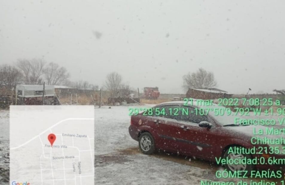Cae nevada en plena primavera en municipios de Chihuahua 