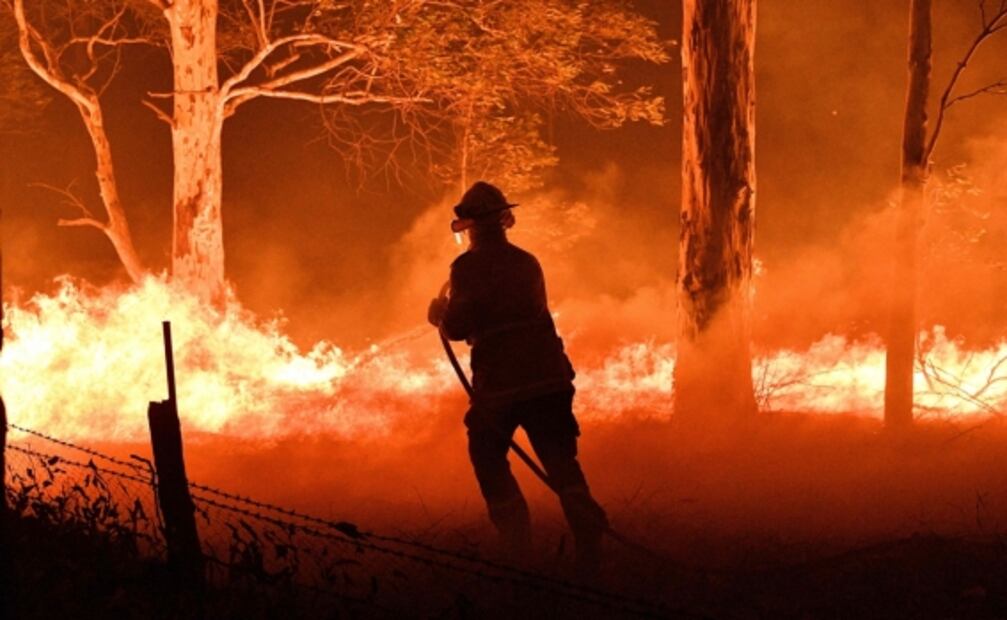 Australia registra 480 millones de animales muertos por incendios forestales