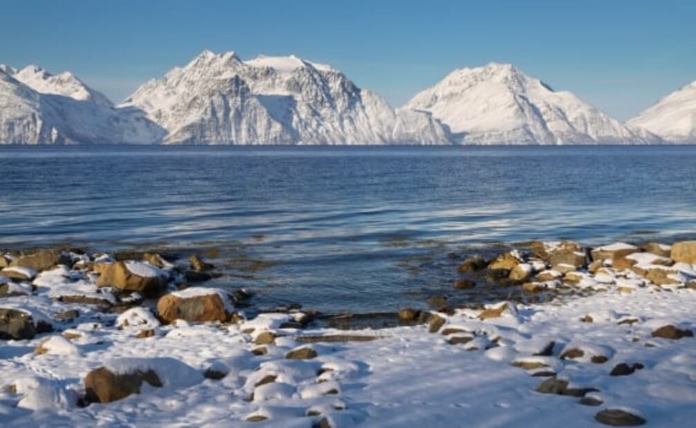 5 historias de supervivencia en la naturaleza que sorprendieron al mundo