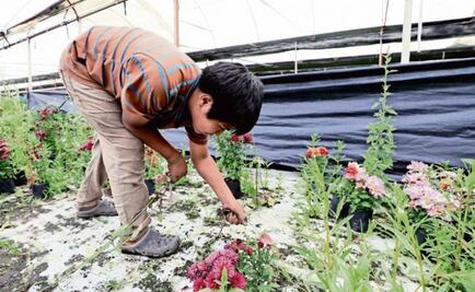 According to INEGI, 1.7 million children in Mexico work 