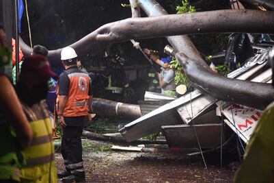 Lluvias del 15 de septiembre dejan un muerto; le cayó un árbol en la colonia Del Valle