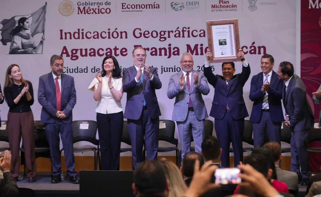Aguacate michoacano recibe indicación greográfica del IMPI / Foto: Especial