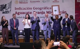Aguacate de Michoacán obtiene Indicación Geográfica; IMPI reconoce calidad y abre nuevos mercados