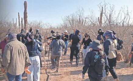 Baja California Sur, oasis turístico con crisis de desapariciones