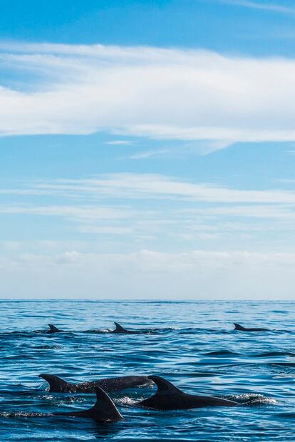 Loreto: qué hacer y ver en el Pueblo Mágico del mar de Cortés