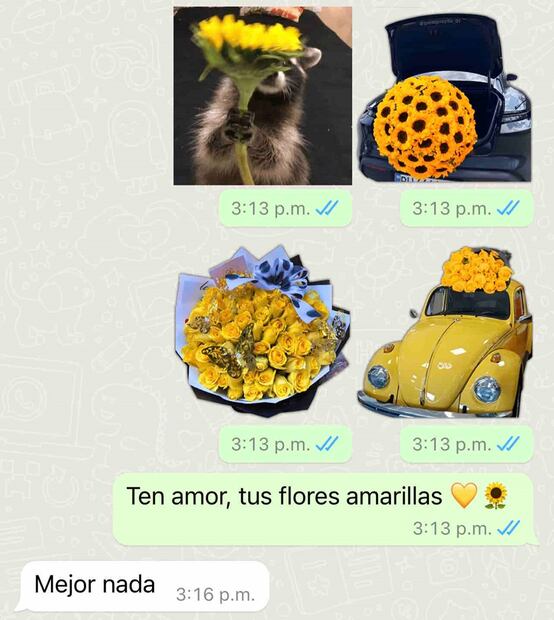 Meme flores amarillas. Foto: Redes Sociales