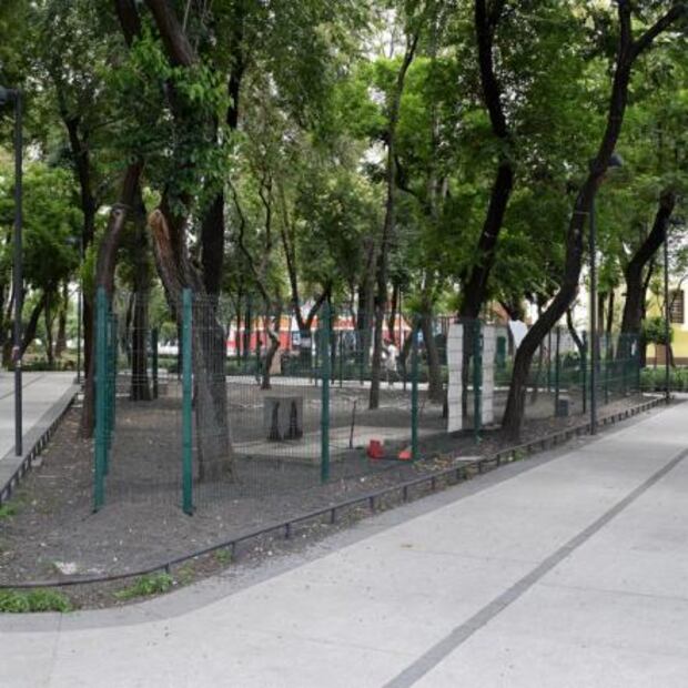 Entérate. Cinco lugares para pasear a tu perro