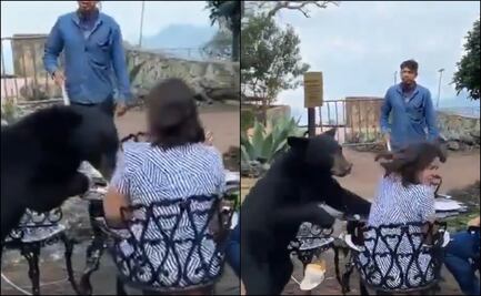 VIDEO: Oso negro ataca a una mujer en restaurante del Parque Ecológico Chipinque, Nuevo León; buscarán reubicarlo 