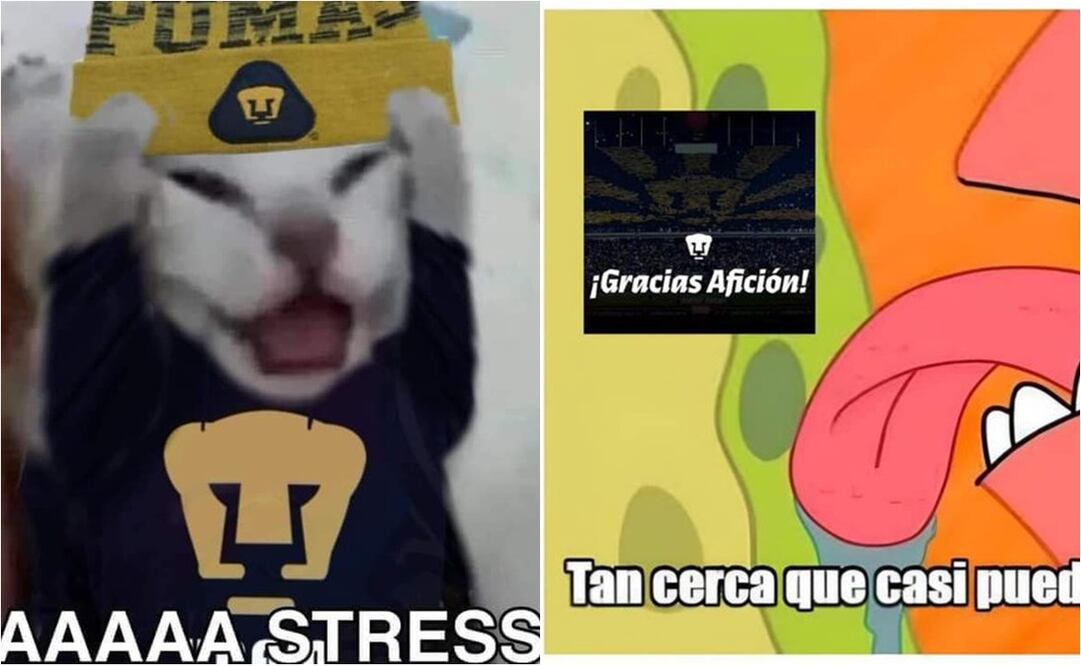 FOTO: ESPECIAL - Los divertidos MEMES de la derrota de Pumas