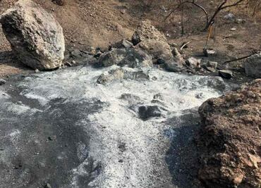 Fiscalía capitalina asegura que restos óseos localizados por Ceci Flores en la CDMX son de origen animal