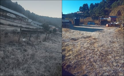 Frente frío 14 provoca temperaturas extremas de hasta -14.8°C en Chihuahua; algunos ciudadanos se refugiaron en albergues habilitados