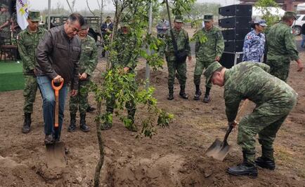 Yo solito he plantado más de 500 mil árboles, dice “El Bronco” 