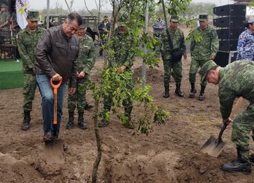 Yo solito he plantado más de 500 mil árboles, dice “El Bronco”