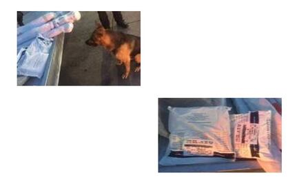 Hallan heroína en aeropuerto de Guadalajara