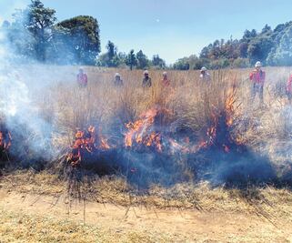 Suma Edomex 127 incendios forestales en lo que va del año