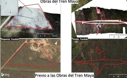 Denuncian deforestación de más de 144 hectáreas para proyecto del Tren Maya
