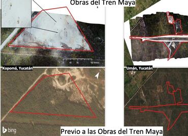 Denuncian deforestación de más de 144 hectáreas para proyecto del Tren Maya