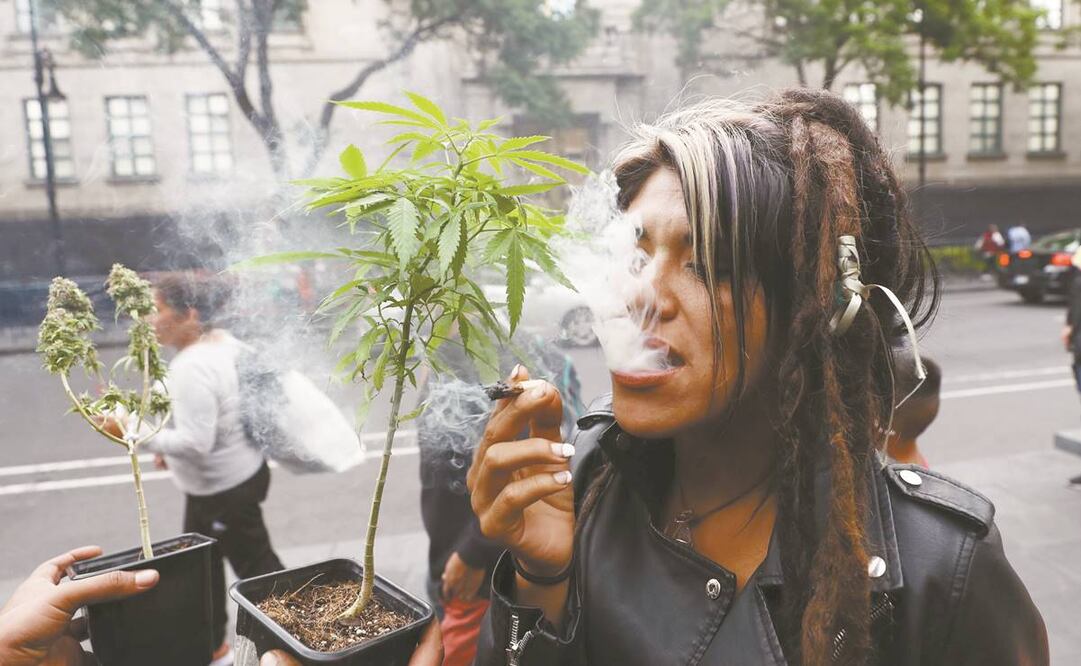 Especialistas señalan que se requiere un cambio en la política de drogas en México y reorientar los esfuerzos en salud y en educación para el tema del uso de estupefacientes. Foto: Diego Simón. EL UNIVERSAL