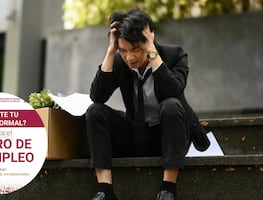 Seguro de Desempleo CDMX: ¿cuáles son los requisitos para registrarte?; conoce los pasos
