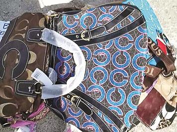 SAE subasta lote de bolsas de lujo... piratas